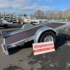 ERDE EXPERT PLM 150 FR - 250 x150 x 10 cm - 1000 kg freiné – Image 4